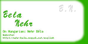 bela nehr business card